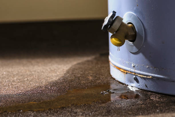 Best Local water damage restoration  in Waimanalo, HI