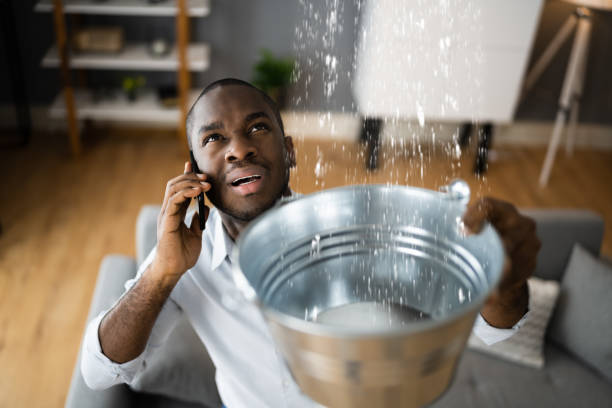 Best Ceiling water damage repair  in Waimanalo, HI