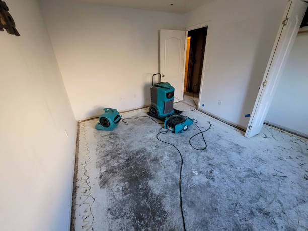  Waimanalo, HI Water damage restoration Pros