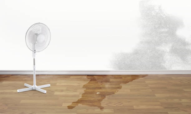 24/7 water damage repair in HI