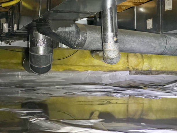 Best Water damage restoration process  in Waimanalo, HI