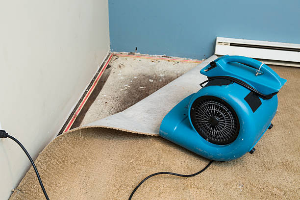 Best Water damage restoration near me  in Waimanalo, HI